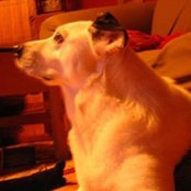 Suzanne Dixie's photo
