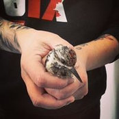 Lori 'Ardy' Preston's photo