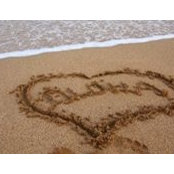 CaroleAnn Cornick-Nori's photo
