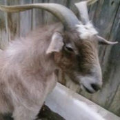 Jill Haber's photo