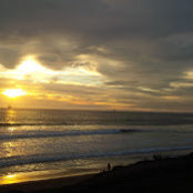 Octavia Fukino's photo