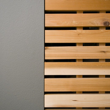 Sumac Lane MidCentury Modern
