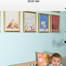 Wall Paint