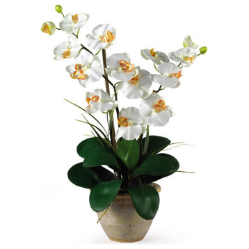 Double Phalaenopsis Silk Orchid Flower Arrangement, Cream