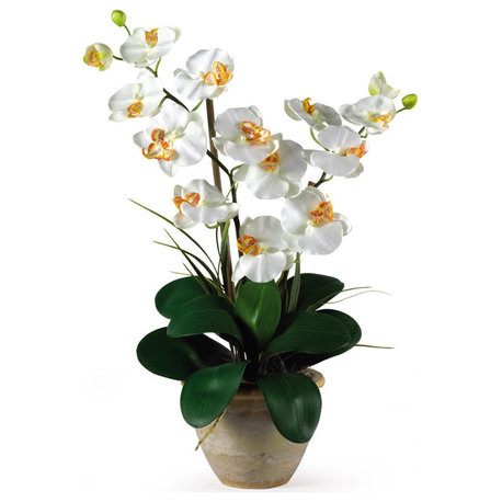 Double Phalaenopsis Silk Orchid Flower Arrangement, Cream