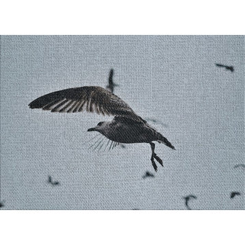 Birds 64 Area Rug, 5'0"x7'0"