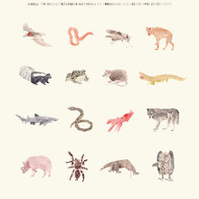Animals
