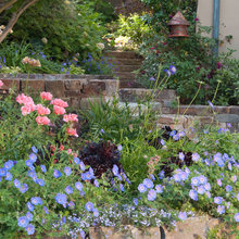 Backyard Favorites