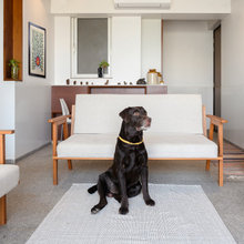 Houzz Tour: A Stylish Flat Designed for People and Pets Alike