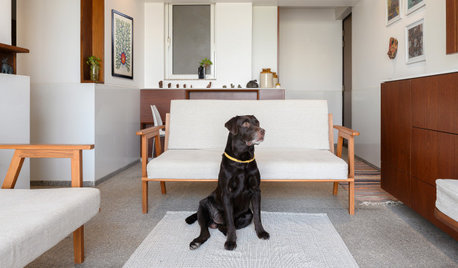 Houzz Tour: A Stylish Flat Designed for People and Pets Alike