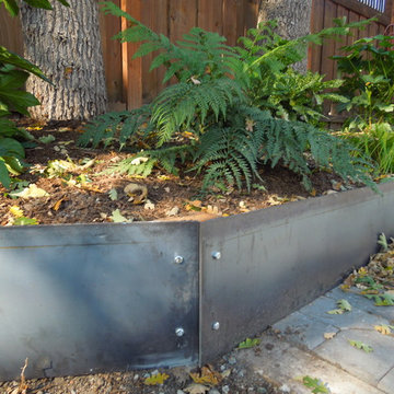 Contemporary, Low Maintenance and drought tolerant Front Yard in Walnut Creek