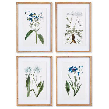 Mountain Botanical Prints, Set of 4