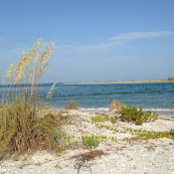 Vicky & Jim Aeschilman's photo