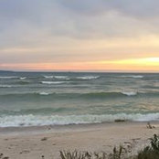 Judy Richardt's photo