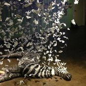 Kelly Connole's photo