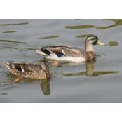 Debra Johnson's photo
