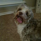 Mindy Morris's photo