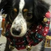 Cathi Schenk Webb's photo