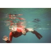 Photo de Theresa Laner-Henry
