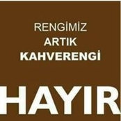 Figen Erdogan's photo
