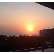 Inge Emery's photo