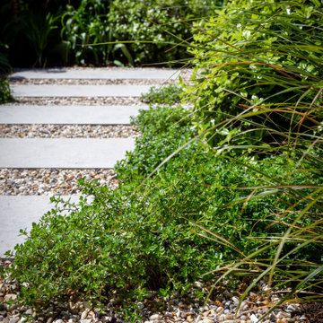 A thyme Pathway.