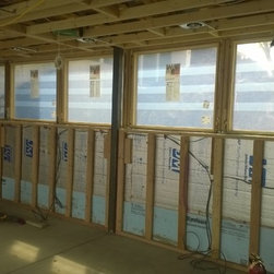 International Modern Remodel - Windows
