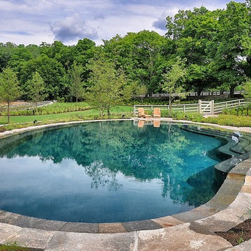 free form swimming pool with perimeter overflow + sun benches