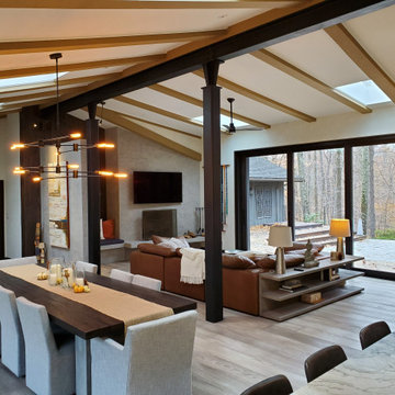 Mid-Century Modern Re-energized
