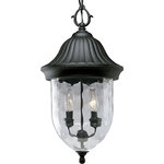 Progress Lighting - Progress Lighting 2-60W Candle Chain Hung, Black - Capture the romance with this one-light hanging lantern from the Coventry collection that features optic hammered glass, stylized cap and Sheppard's hook. Die-cast aluminum construction