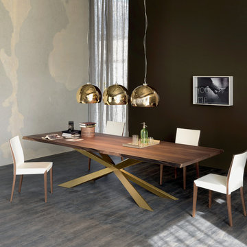 Spyder Wood Table by Cattelan Italia