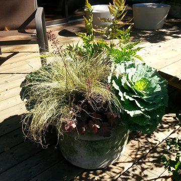 Fall Patio Pots