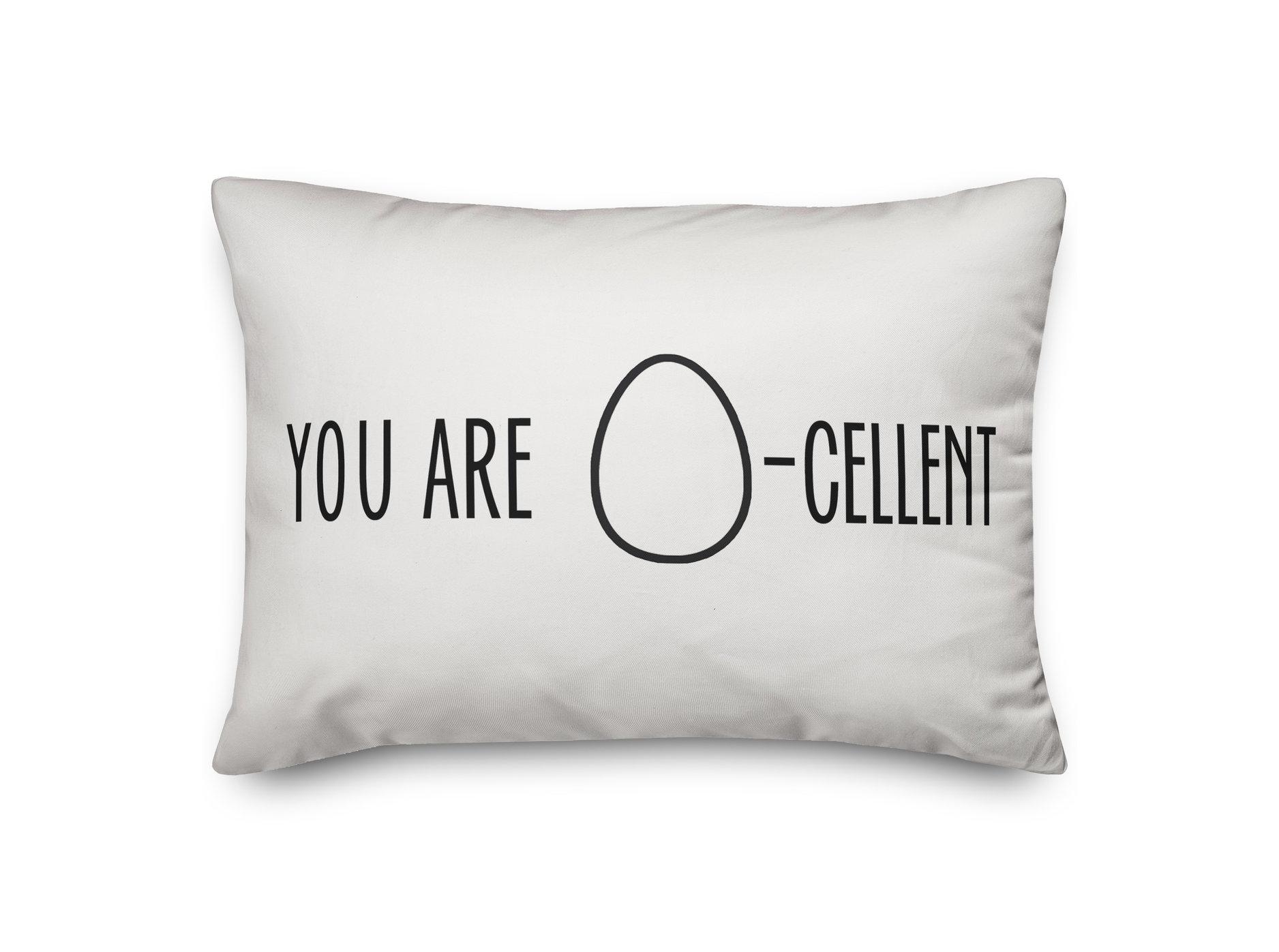 View of You are Egg-Celent Pillow, 14x20 - Contemporary - Decorative Pillows ...