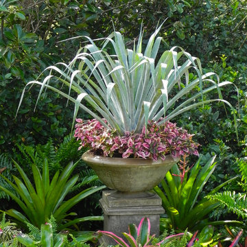 container gardens