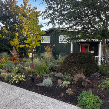 Fircrest Front Yard