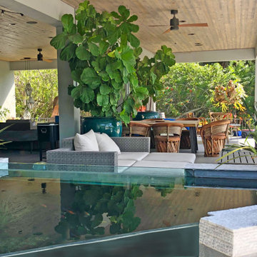 Tropical Modern
