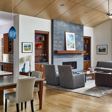 Colorado Mountain Contemporary