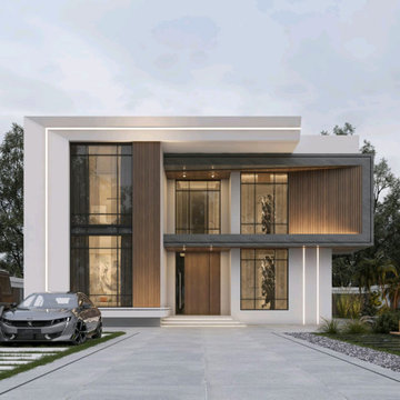 Florida Residential Design-Modern