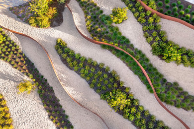 Design ideas for a landscaping in San Francisco.