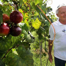Green Acres & My Husband Allen Green