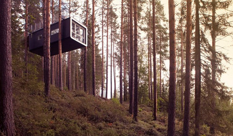 11 Amazing Home-Away-From-Home Tree Houses Around the World