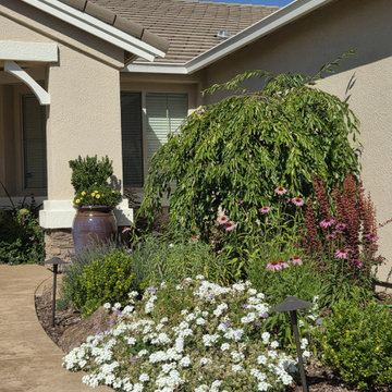 Stunning Curved Stamped Concrete Walkway