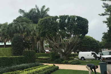 Lawn Care & Perim in Boynton Beach, FL