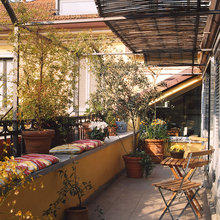 terrazza due relax fiori e mici