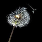 Carla Henderson's photo