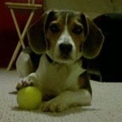Mark Wilmot's photo