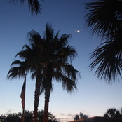 Photo de sanglum