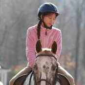 Gina Desiena's photo