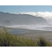 Kim Mezzenga's photo