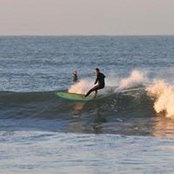 Steven Powell's photo